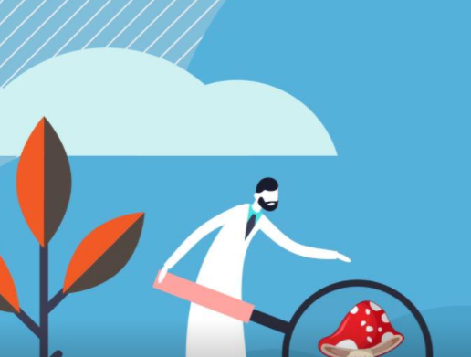 Illustration: Person untersucht mit Lupe einen Pilz auf einem großen Fuß – Thema Fußpilz-Prävention.